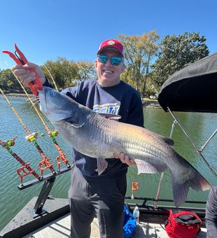 Lake Wateree Blue Catfish catch!
