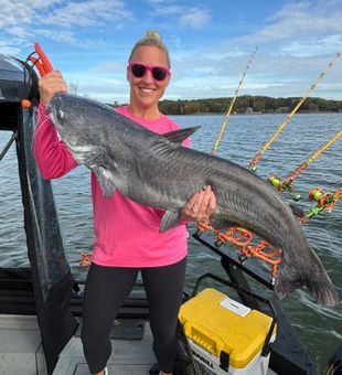 Big Blue Catfish on Lake Wateree!
