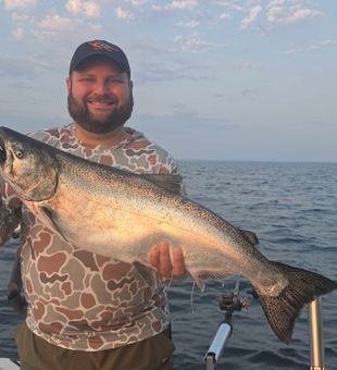 Beautiful Chinook salmon from Wolcott NY waters!