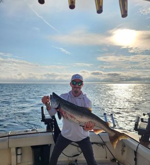 Massive salmon catch on Lake Michigan!