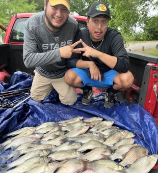 Striper Stack on Truck  - Lake Lewisville, TX.