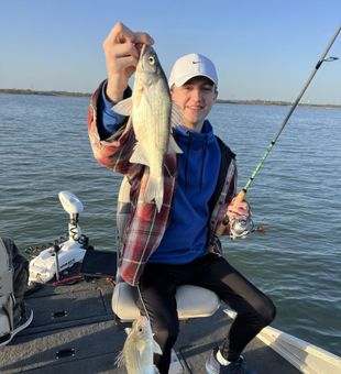 Another Striper reeled in - Lake Lewisville, TX.