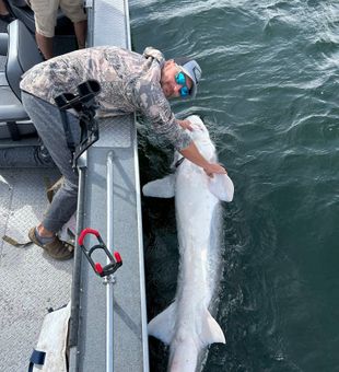 Where patience meets payoff