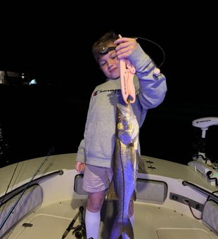 Nice Chesapeake snook caught on the night bite!