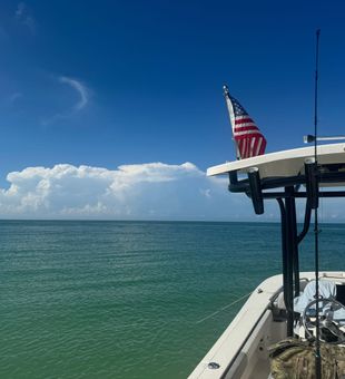 Perfect day for Florida fishing adventures awaits!