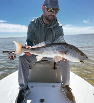 Experience top Tampa fishing charters today!