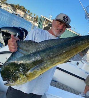 Elite Fishing Offshore Charters Catching Mahi Mahi