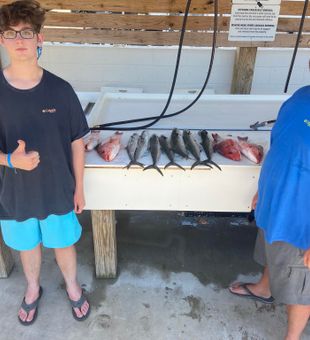 Action-packed day with Red Snapper and Spanish Mackerel!