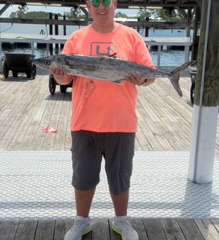 Beautiful King Mackerel from Orange Beach Alabama waters!