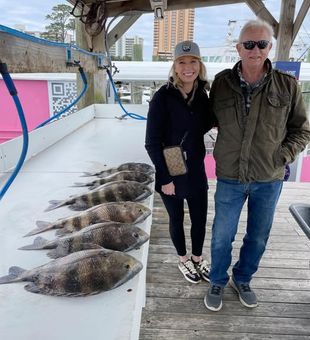 Experience the thrill of a guided fishing trip in Orange Beach where every cast brings Gulf Coast action.