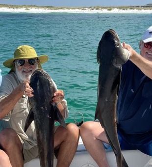 Destin's Cobia catch with Good Thing Fishing!