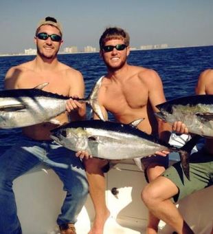 Blackfin Tuna success in Destin waters!