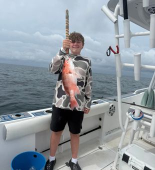 Nice red snapper caught in Destin FL waters!