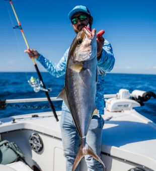 Greater Amberjack Reeled In - Destin, FL.