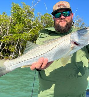 Snook Fishing in Fort Myers, Florida!