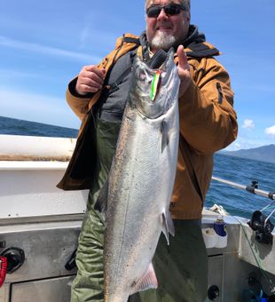 Ucluelet graceful salmon.