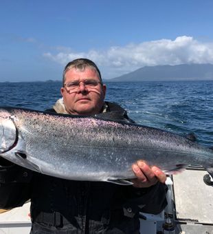 Ucluelet vibrant wild salmon. 