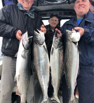 Salmon abundance in Ucluelet, BC