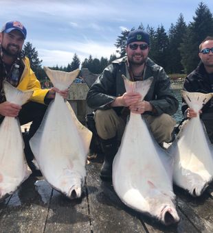 Ucluelet halibut bonanza