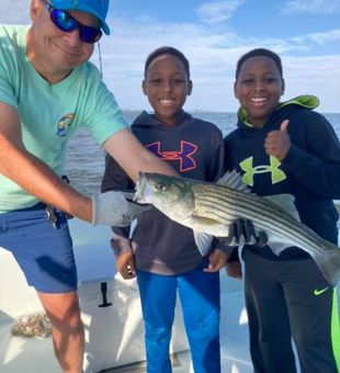 Chesapeake Bay Reels in Striper!
