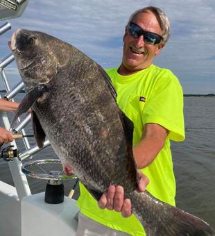 Black Drum hooked in Chesapeake Bay!