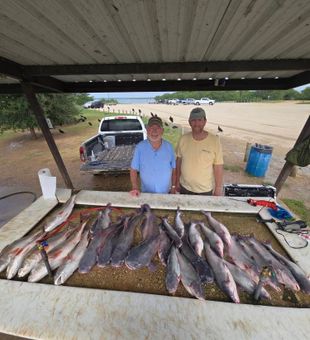 Successful Day! - San Antonio, TX.