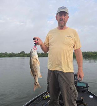 Clean Redfish Catch - San Antonio, TX.