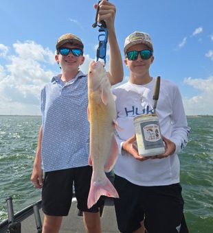 Nice channel catfish caught in San Antonio!