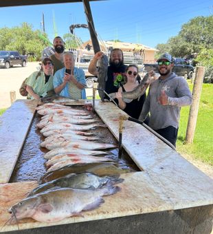 San Antonio catfish bonanza with white and blue catfish!