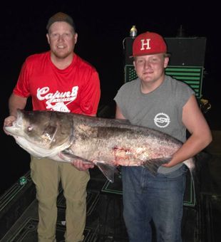 Night fishing carp action in Ohio