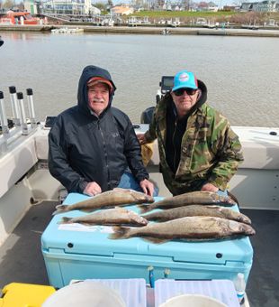 Great Lakes, greater catches