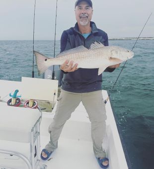 Redfish Excitement in Panama City Beach!