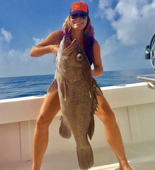 Hooked a Monster Grouper in Marathon, FL