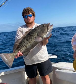 Grouper Fishing in Destin