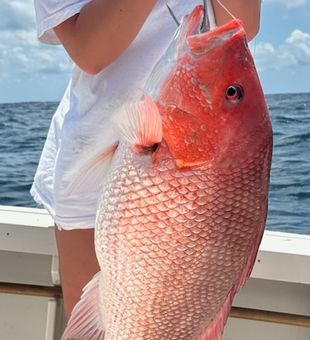 Catch of the Day in sunny Destin!