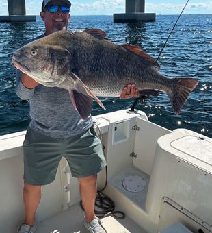 Destin, FL: Where fishing dreams come true!