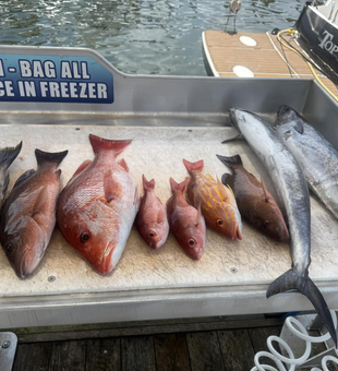 Book Your Destin Fishing Charter