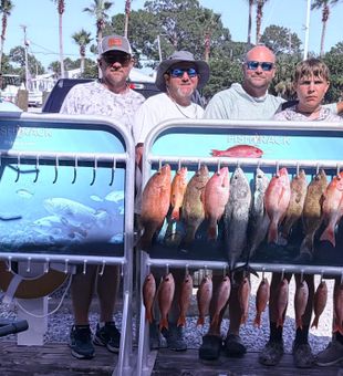Red snapper and little tunny success in Shalimar!