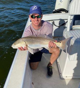 Redfish in Holmes Beach, FL
