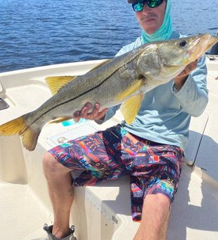 Snook Fishing in Florida
