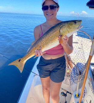Redfish in Holmes Beach, FL