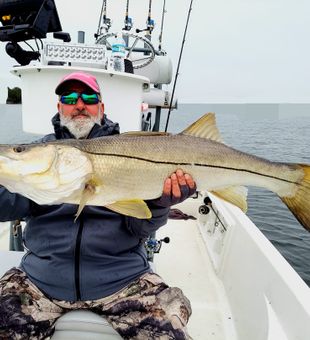 Majestic snook captured in Florida waters.