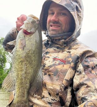 Big smallmouth bass from the Juniata today