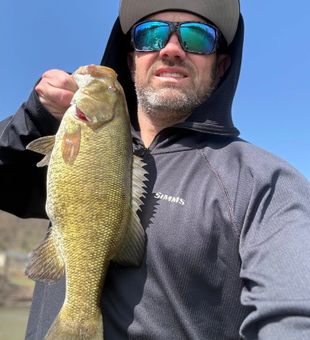 Nice Harrisburg smallmouth bass ready for the photo!