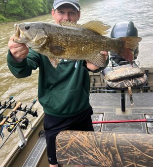 Smallmouth bass action on the Juniata River