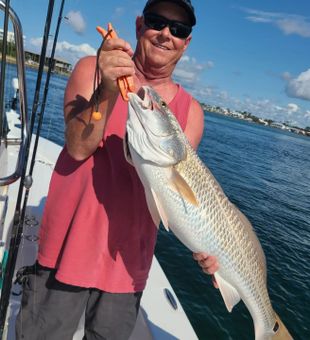 Reeling in Redfish Delight