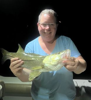 Snook Trophy in Palm Coast Inshore Fishing trip	