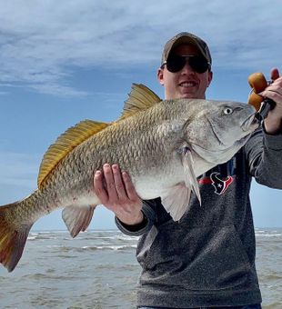 Caught a Black Drum in Apalachicola, Florida