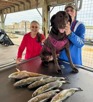 Matagorda redfish action delivered in style!