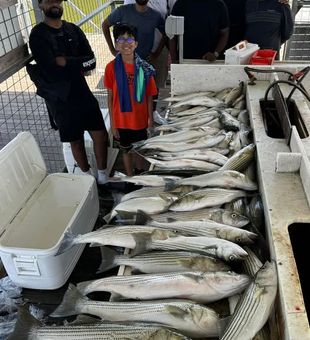 Striped bass heaven on Texoma!